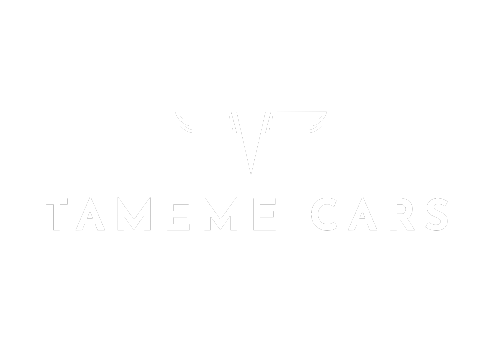 Tameme logo